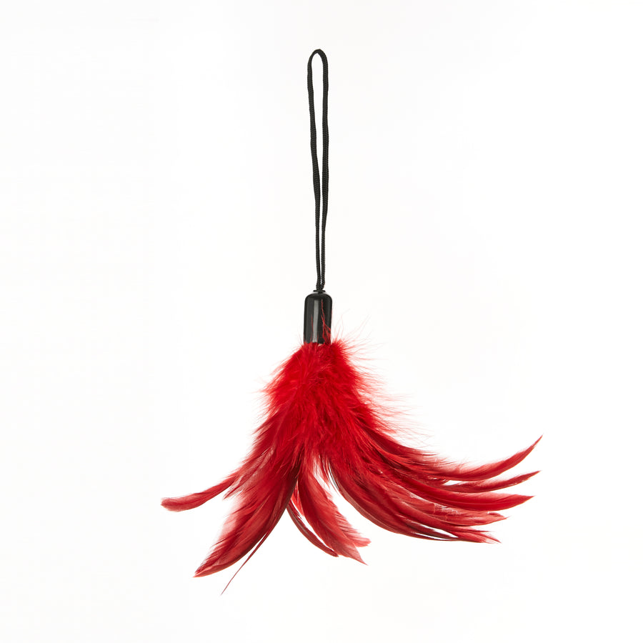 Pleasure Feather Tickler