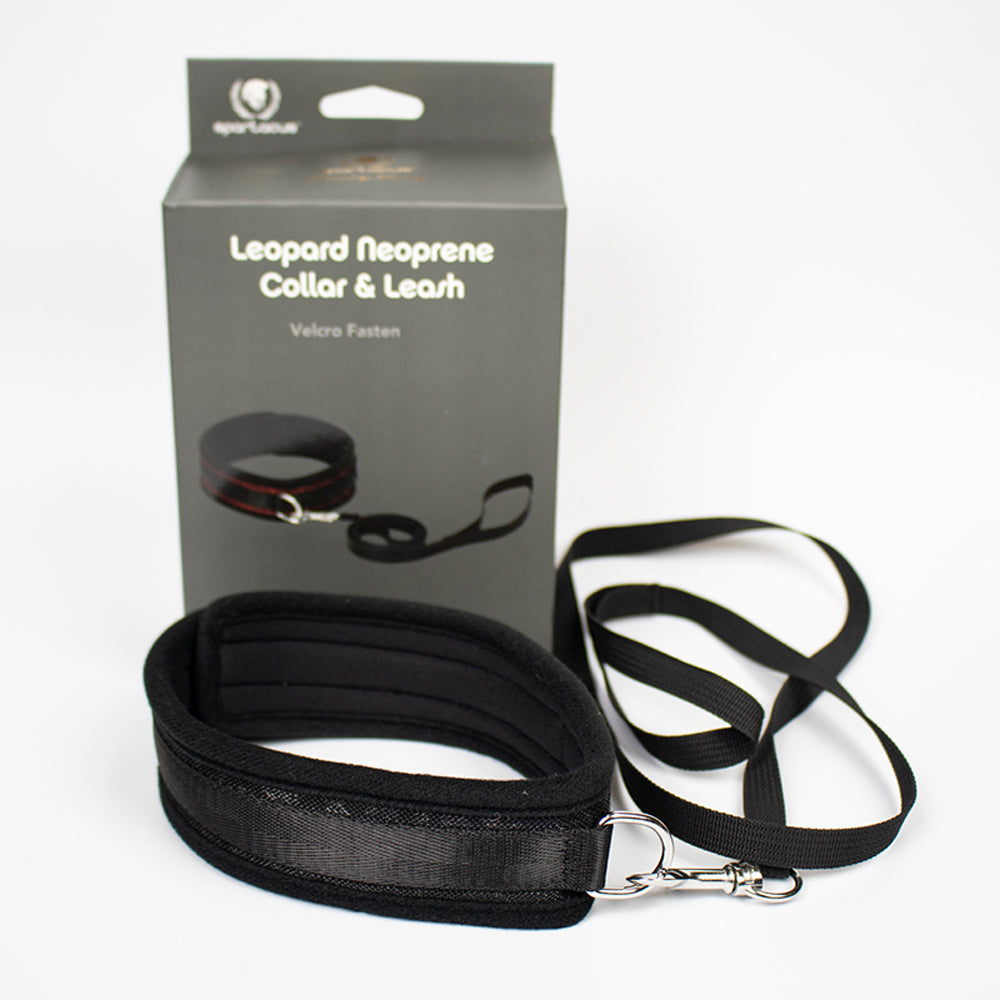 Collar And Leash Neoprene Black