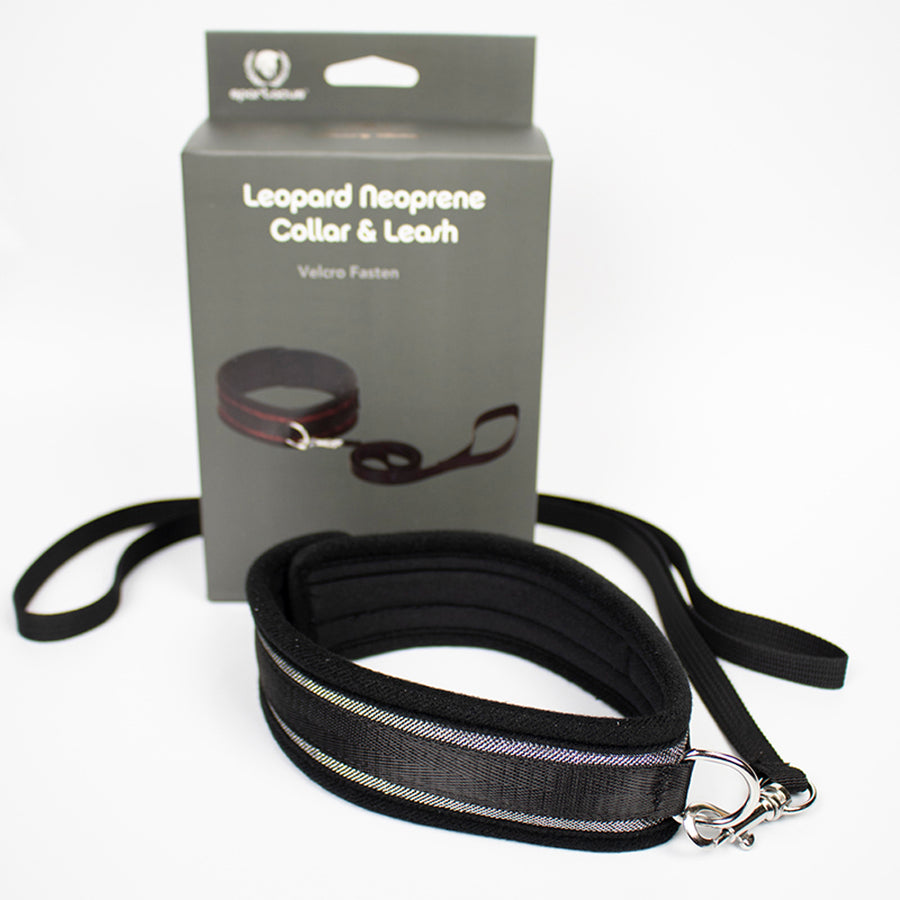 Collar And Leash Neoprene Silver