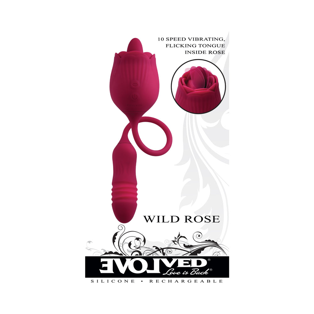 Evolved Wild Rose - Red