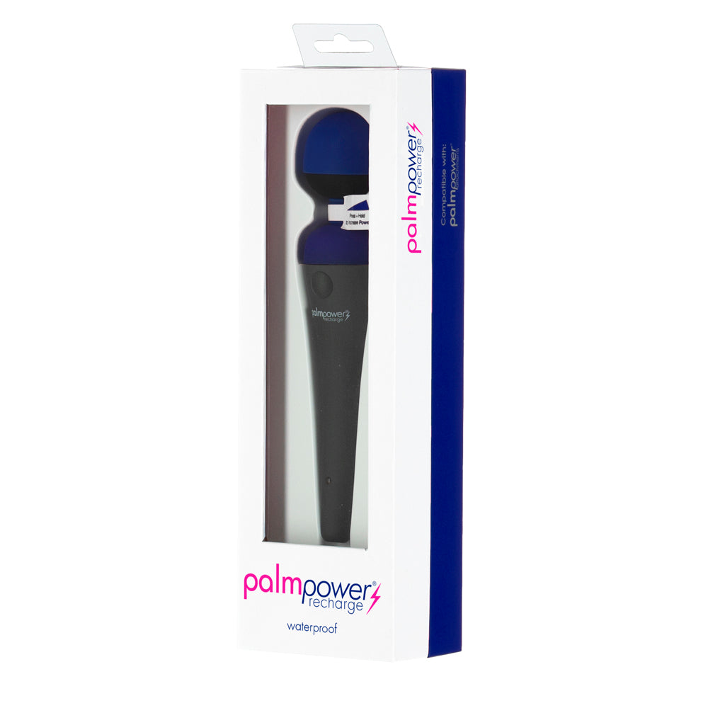 Palmpower Massager Usb Rechargeable Blue