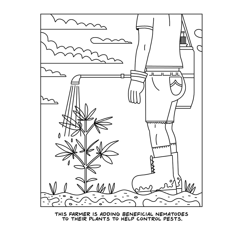 A Visit To The Cannabis Farm Coloring Book