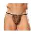 Male Power Animal Posing Strap Brown Leopard O/S-Male Power-Sexual Toys®