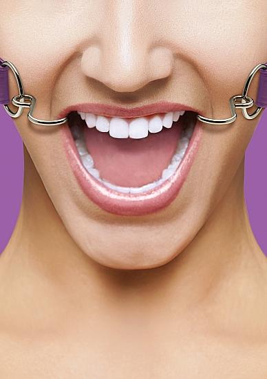 Ouch Hook Gag with Leather Straps O/S-Shots-Sexual Toys®