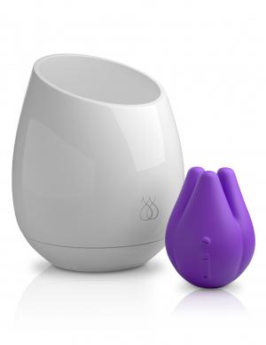 Pure UV Sanitizing Mood Light Love Pods Tre Ultraviolet Edition-Jimmyjane Pure-Sexual Toys®